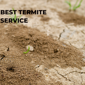 Best Termite Service